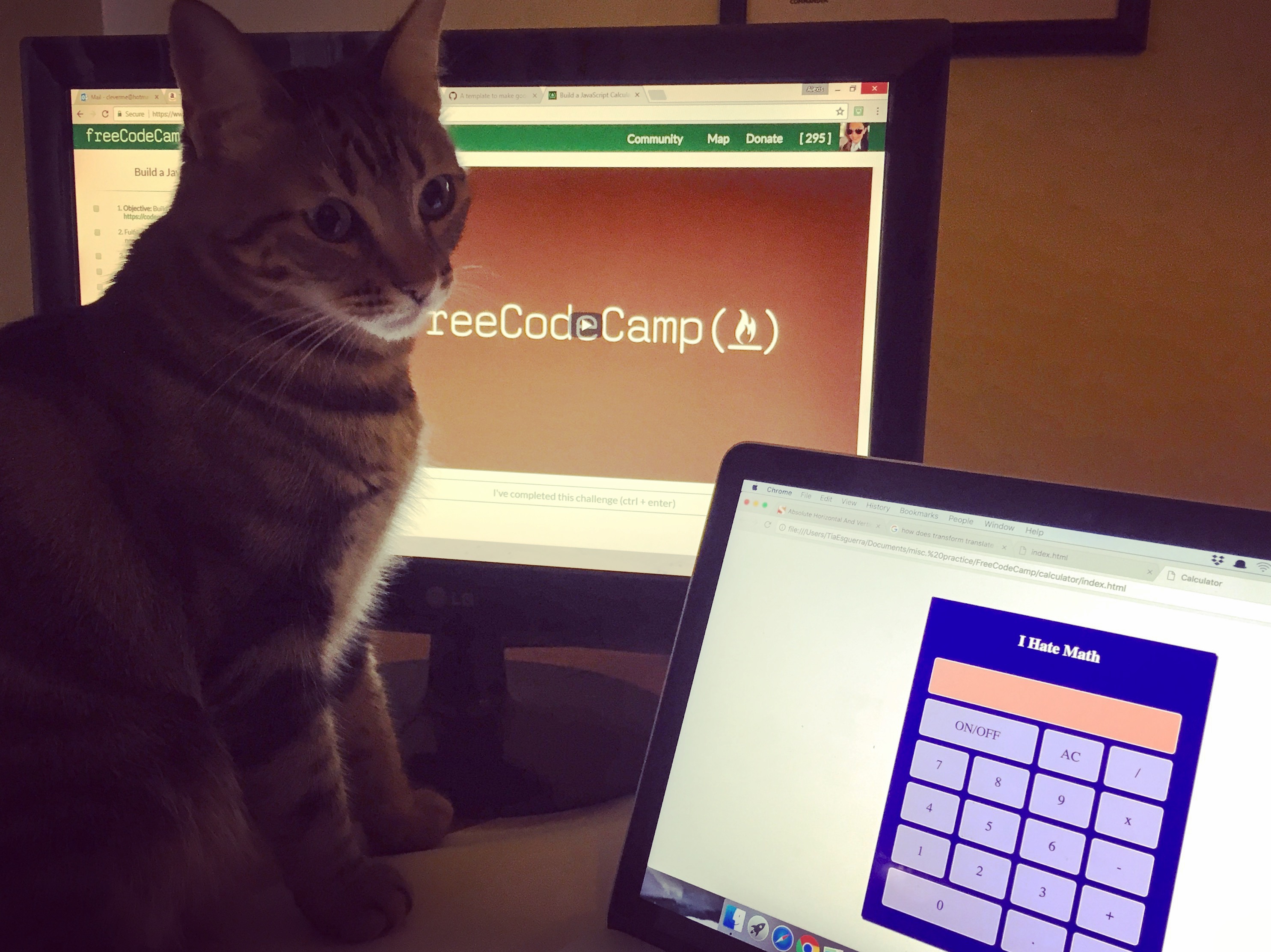 Cirrus instagram photo of completed free code camp calculator program.